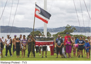 Waitangi_protest_TV3